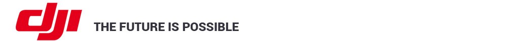 DJI_Logo