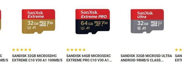 SanDisk Speicherkarten für GoPro