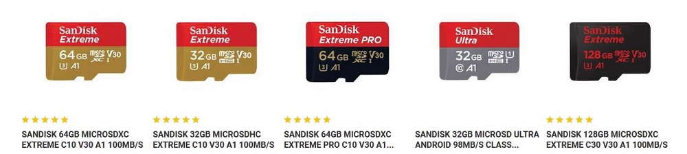 SanDisk Speicherkarten für GoPro