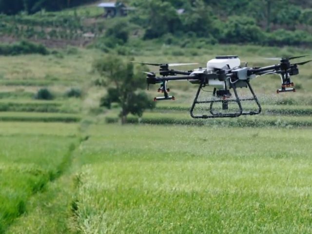 DJI AGRAS Landwirtschafts-Drohne im Einsatz